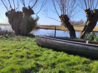 1773569897708.png 1773569897708.png