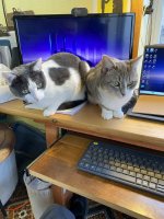 IMG_0081.jpg IMG_0081.jpg