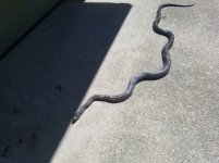 20200611_151055.jpg 20200611_151055.jpg