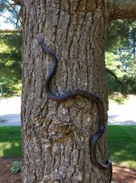 20190611_120549.jpg 20190611_120549.jpg