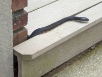 PXL_20240428_180035664.MP.jpg PXL_20240428_180035664.MP.jpg