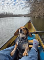 20260329_130702.jpg 20260329_130702.jpg