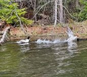 IMG_5118.jpeg