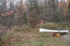 DSC_1062.JPG