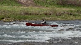 IMG_3651.jpeg