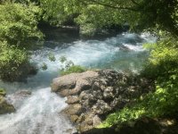 IMG_7252.jpeg