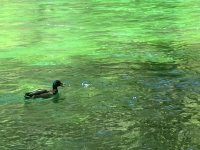 IMG_0138.jpeg