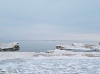 20190227_111603.jpg