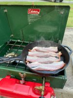 IMG_0228.jpeg