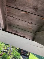 IMG_9697.jpeg