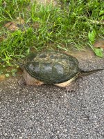 IMG_3790.jpeg
