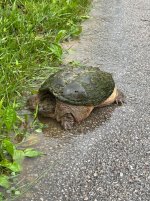 IMG_3793.jpeg