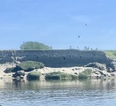 IMG_7589.jpeg