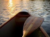IMG_4544.jpeg