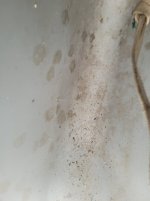 20260507_151551.jpg 20260507_151551.jpg