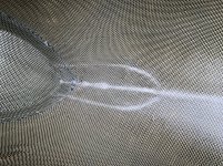 IMG_4988.jpeg