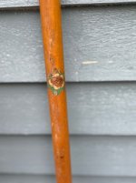 IMG_4105.jpeg