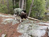 Cerberus Branch Manager.jpeg