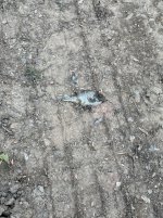 IMG_4860.jpeg