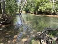 IMG_1803.jpeg
