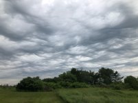 IMG_9796.jpeg