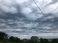 IMG_9795.jpeg