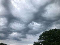 IMG_9794.jpeg