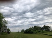 IMG_9793.jpeg