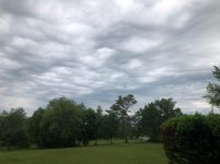 IMG_9788.jpeg