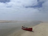 IMG_2249.jpeg