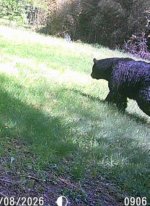 IMG_3781.jpeg