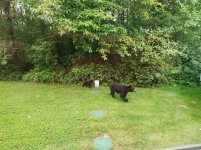 image000000(6).jpg