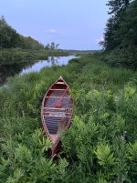 IMG_5204.jpeg