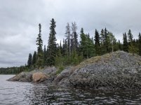 PXL_20260629_171341780.jpg PXL_20260629_171341780.jpg