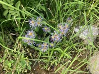 IMG_5601.jpeg