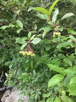 IMG_5600.jpeg