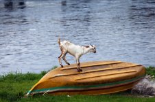 IMG_8248.jpeg