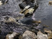 IMG_5638.jpeg