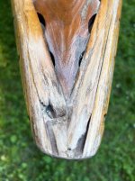 IMG_4562.jpeg
