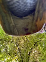 IMG_4566.jpeg