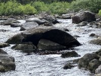 IMG_5660.jpeg