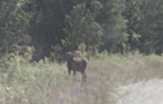 IMG_0100.jpeg IMG_0100.jpeg
