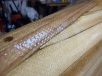 IMG_7070.jpeg