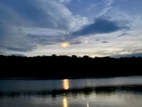 IMG_2319.jpeg