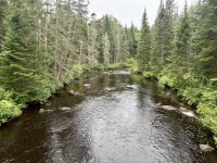 IMG_2323.jpeg IMG_2323.jpeg