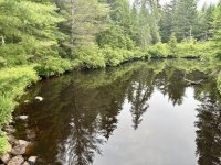 IMG_2324.jpeg