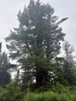 IMG_2328.jpeg IMG_2328.jpeg