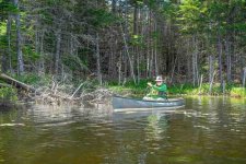 Z61_6746-topaz-rawdenoise en sml Boreas Pond_Glenn_Mcgready xsm.jpg Z61_6746-topaz-rawdenoise en sml Boreas Pond_Glenn_Mcgready xsm.jpg