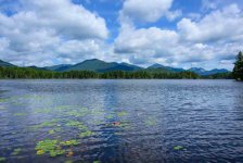 Z61_6715-topaz-rawdenoise-sharpen cr en Boreas Pond_Vista xsm.jpg Z61_6715-topaz-rawdenoise-sharpen cr en Boreas Pond_Vista xsm.jpg