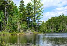 Z61_6799-topaz-rawdenoise cr en Glenn_MacGrady_Boreas Ponds.jpg